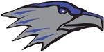 falconlogo 
